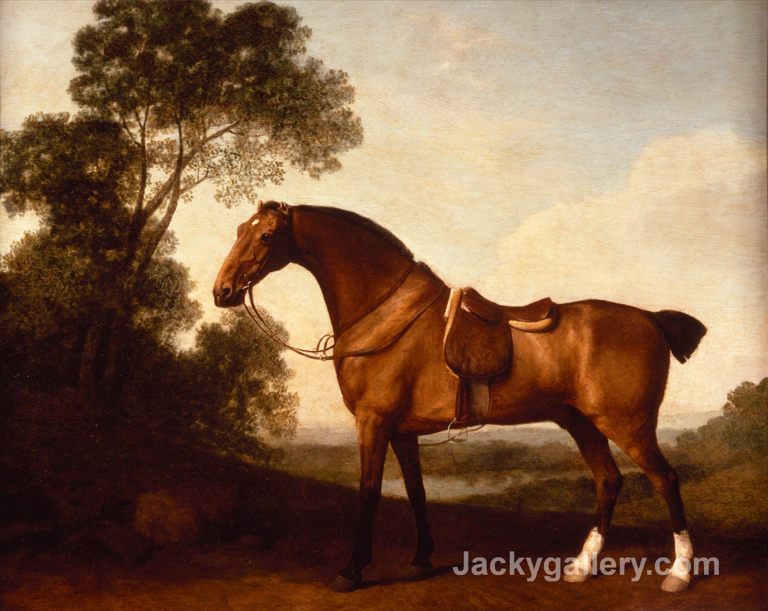 A Saddled Bay Hunter by George Stubbs paintings reproduction